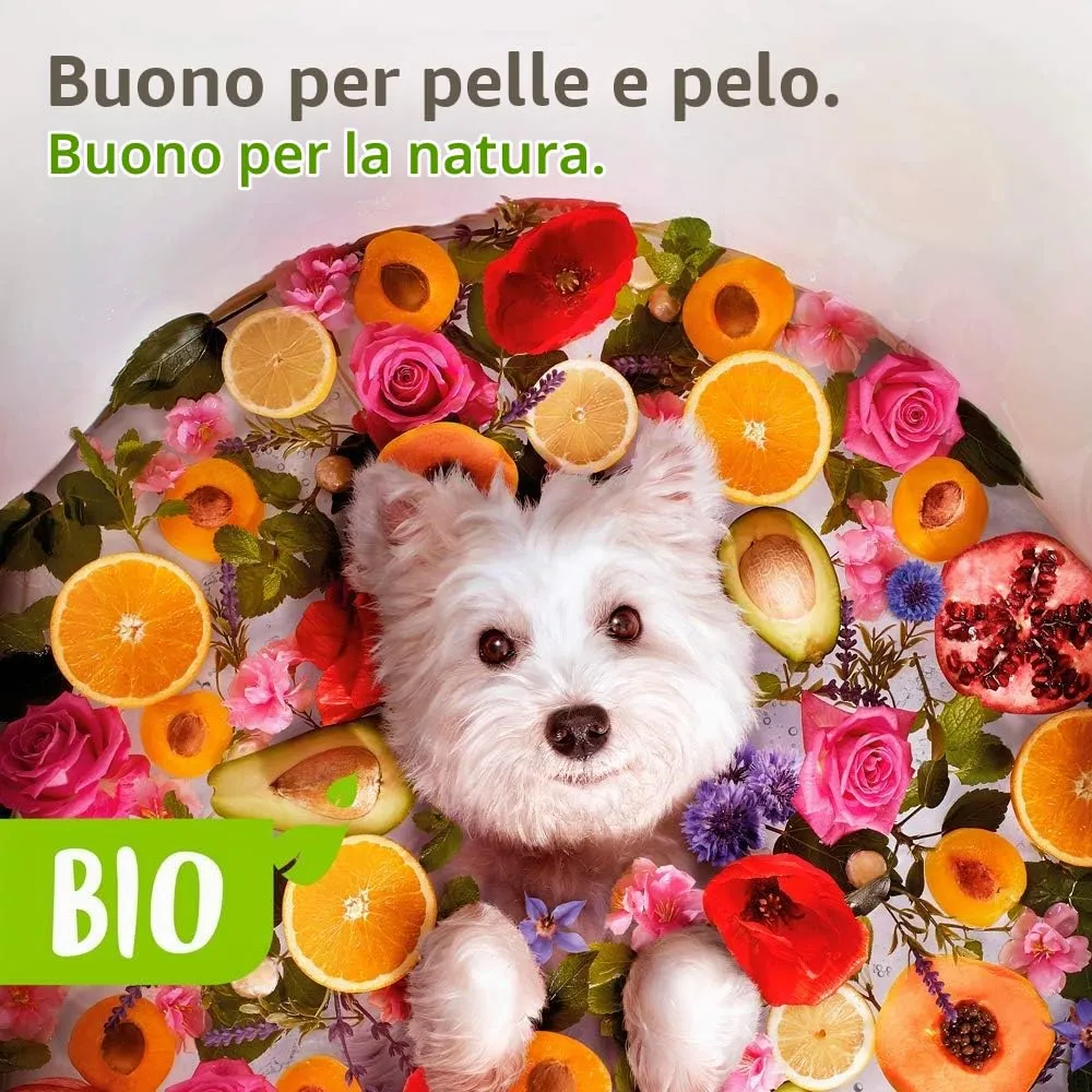 Beaphar Bio Shampoo Gatti, Ottimo per la Cute di Gatti e Gattini, con Gel di Aloe Vera da Agricoltura Biologica, Arricchito con Olio di Avocado e Rosa, Certificato ECOCERT, PH Neutro, 200 ml - immagine 3