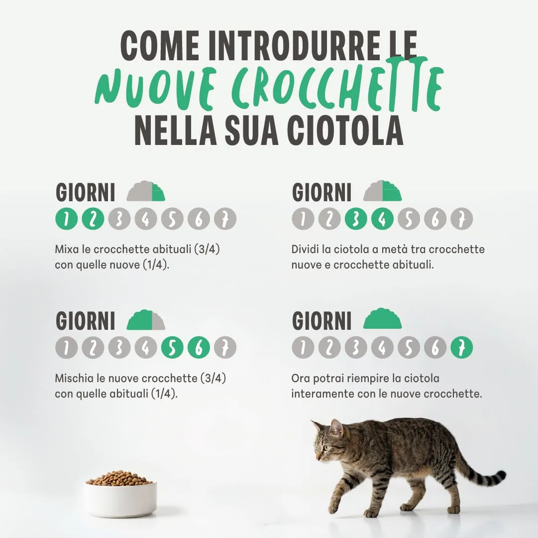 Schesir Animal Monoprotein Kitten Pollo, Croccantini per Gatti Adulti, Alimento Secco Monoproteico, Vitamine Aggiunte, Senza Conservanti e Coloranti, 10 kg - immagine 3