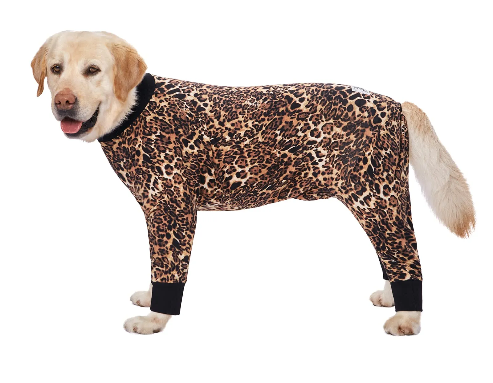 BT Bear Abbigliamento per Cani di Taglia Grande, Tutina per Animali Elastica Protegge le Articolazioni Anti-pelo Anti-leccamento, Pigiama per Animali con Protezione per Ferite, Tutina per Cani di - immagine 2