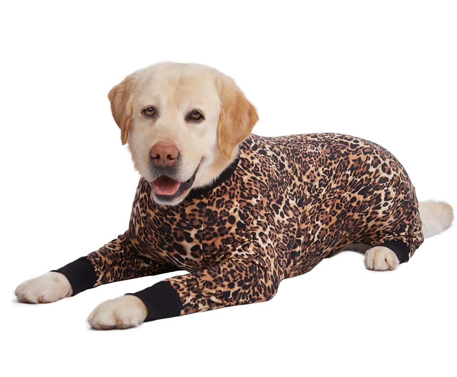 BT Bear Abbigliamento per Cani di Taglia Grande, Tutina per Animali Elastica Protegge le Articolazioni Anti-pelo Anti-leccamento, Pigiama per Animali con Protezione per Ferite, Tutina per Cani di - immagine 6