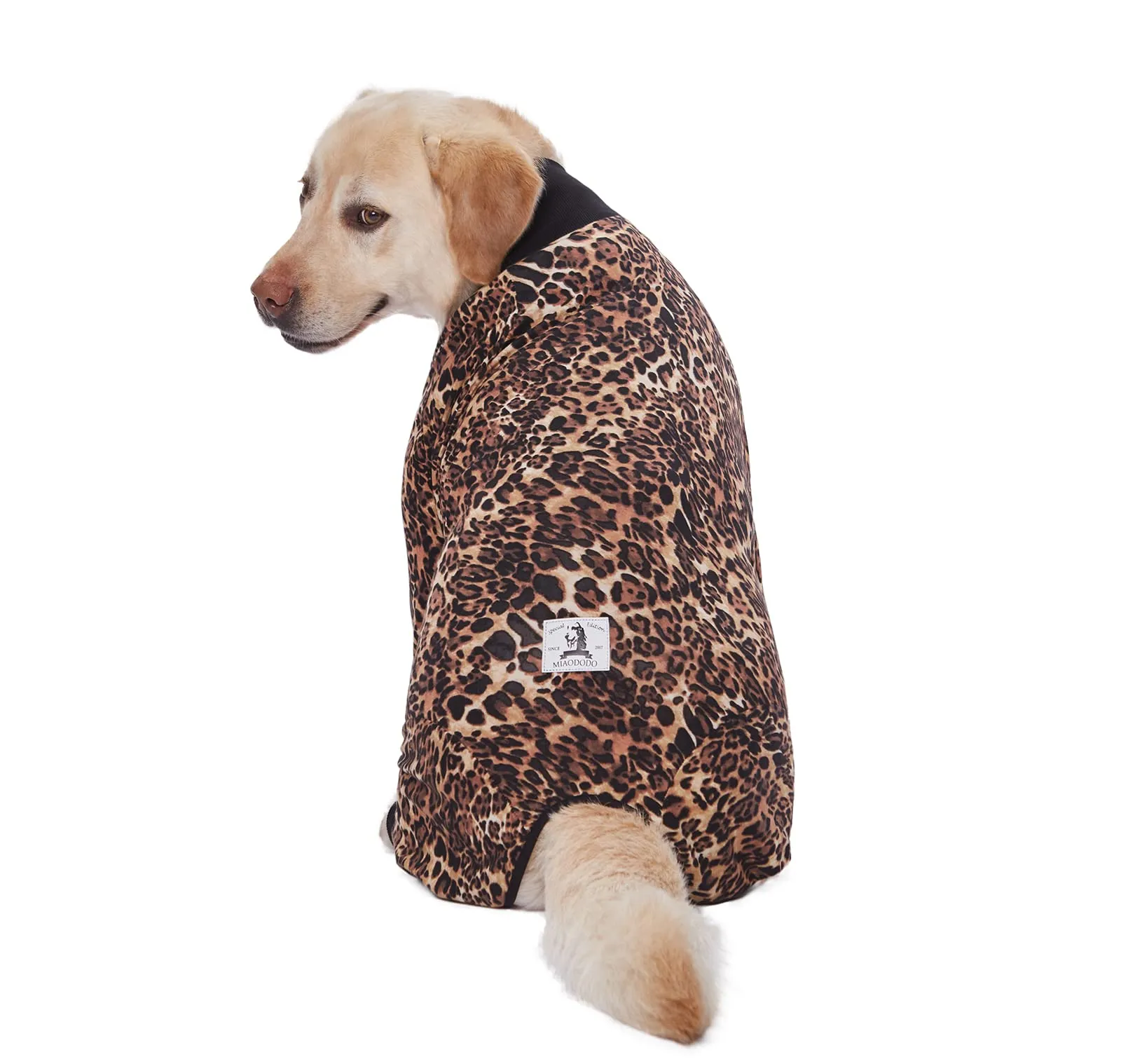 BT Bear Abbigliamento per Cani di Taglia Grande, Tutina per Animali Elastica Protegge le Articolazioni Anti-pelo Anti-leccamento, Pigiama per Animali con Protezione per Ferite, Tutina per Cani di - immagine 7