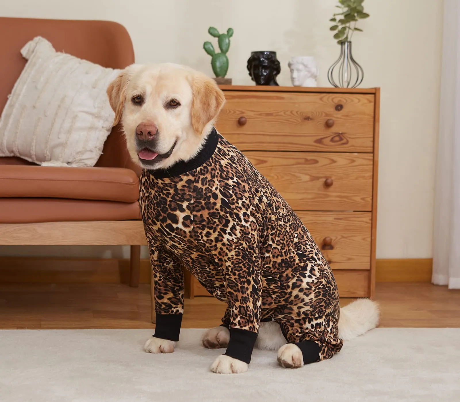 BT Bear Abbigliamento per Cani di Taglia Grande, Tutina per Animali Elastica Protegge le Articolazioni Anti-pelo Anti-leccamento, Pigiama per Animali con Protezione per Ferite, Tutina per Cani di - immagine 8
