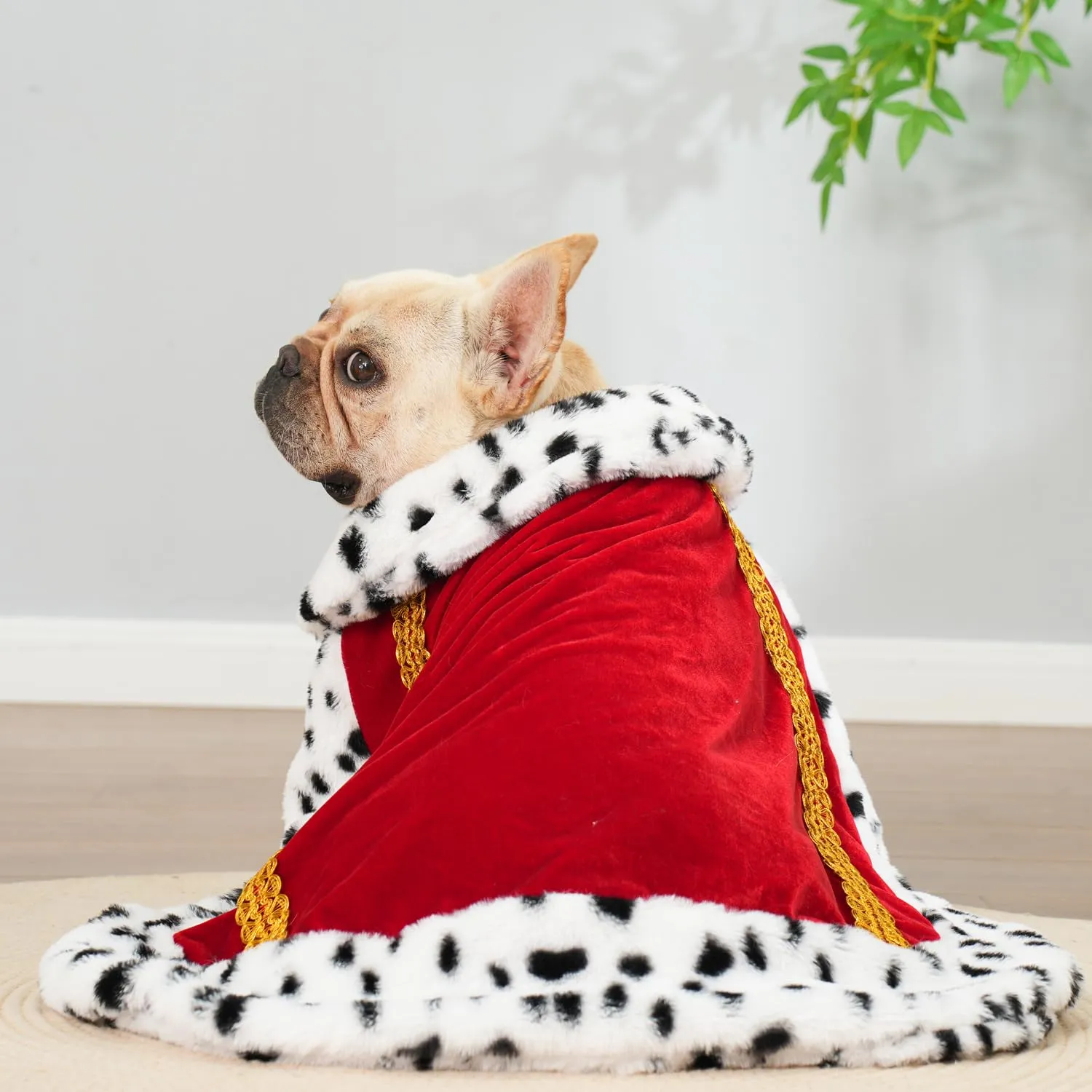 Lovelyshop Pet Mantello di pelliccia per cani di serie Lux, per Carnevale Festa di Compleanno Halloween re regina principe Cosplay M Rosso - immagine 2