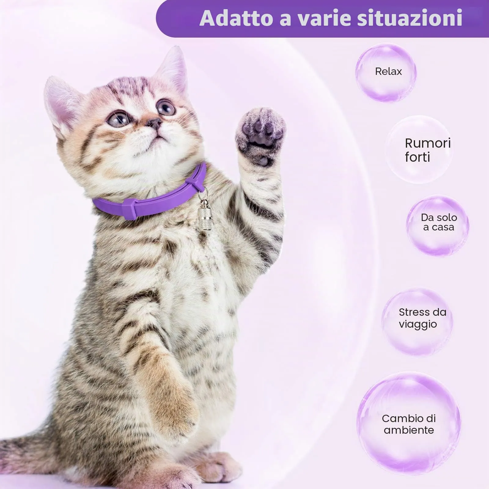 Weewooday Set di 5 collari calmanti per gatti, regolabili, impermeabili, calmanti per gatti, riducono l'ansia e lo stress, con 5 ciondoli identificativi per animali domestici (viola) - immagine 4