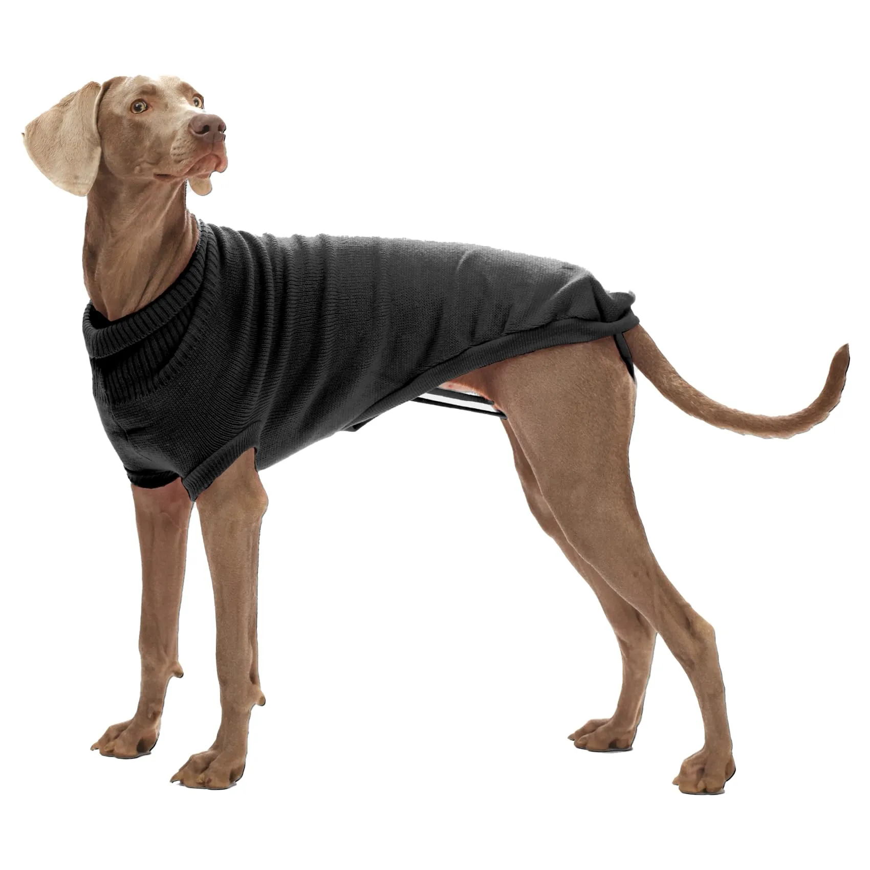 Croci Stoccolma - Maglioncino dolcevita invernale per cani, giacca cappotto con foro guinzaglio pettorina e elastici zampe, colore Nero, taglia 65 cm