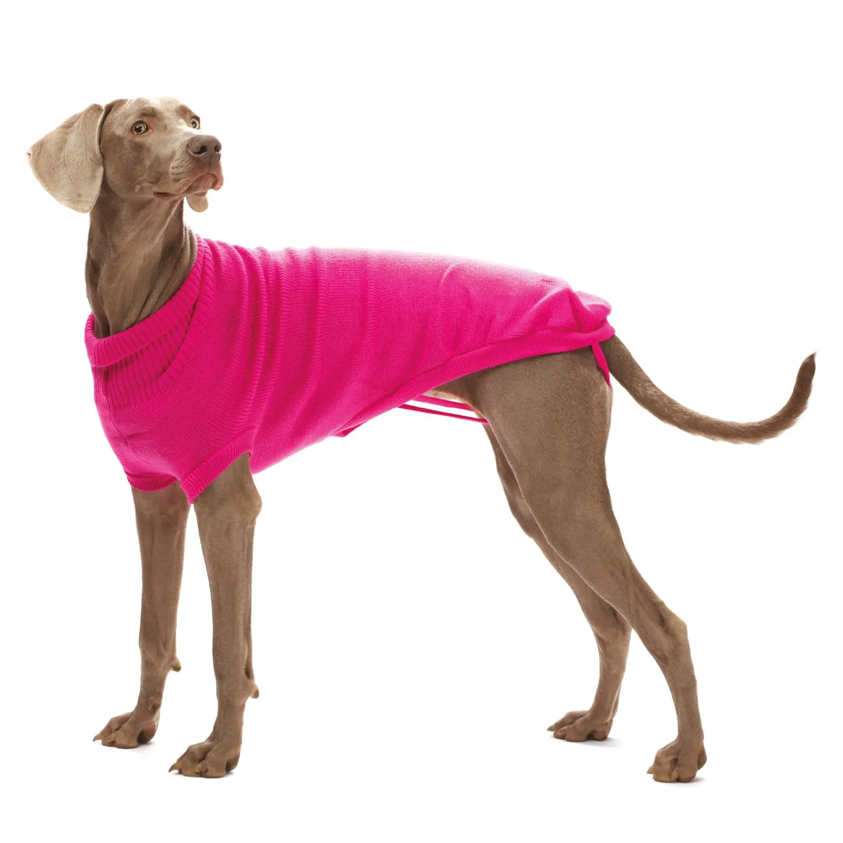 Croci Valencia - Maglioncino dolcevita invernale per cani, giacca cappotto con foro guinzaglio pettorina e elastici zampe, colore Rosa, taglia 50 cm