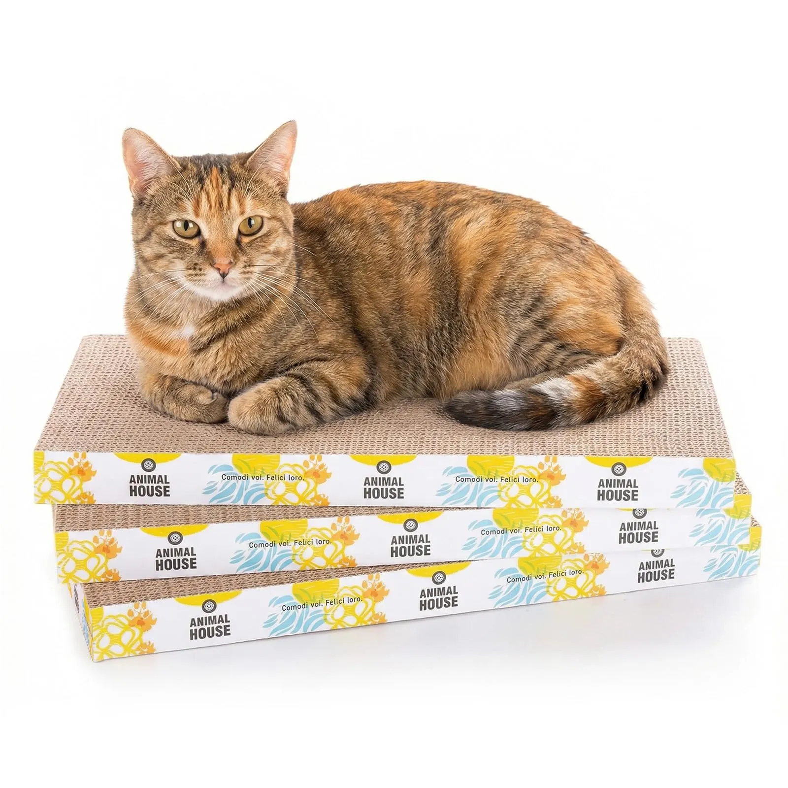 Animal House Set 3 Pezzi Tiragraffi per Gatti in Cartone, Dritto