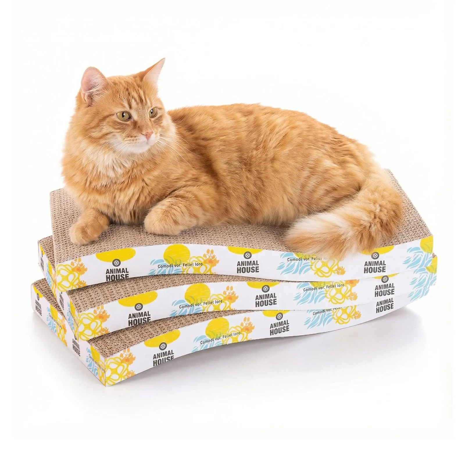 Animal House Set 3 Pezzi Tiragraffi per Gatti in Cartone, Ondulato