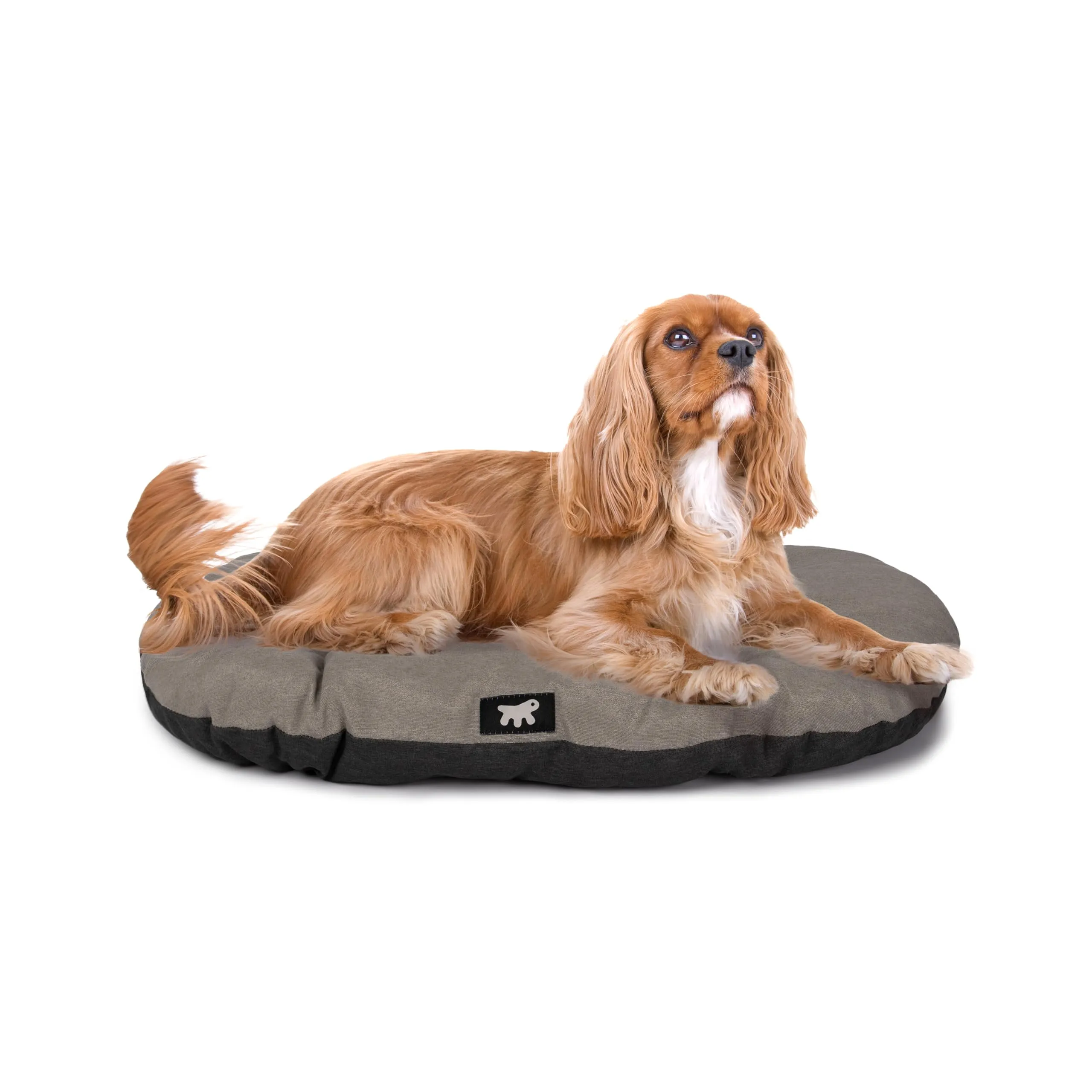Ferplast Cuccia Cane Relax, Cuscino per cani di medie dimensioni, Cuccia Gatto, Tappetino per cucce e auto -Lavabile - in Cotone con Soffice Imbottitura, 78 x 50 m. Marrone