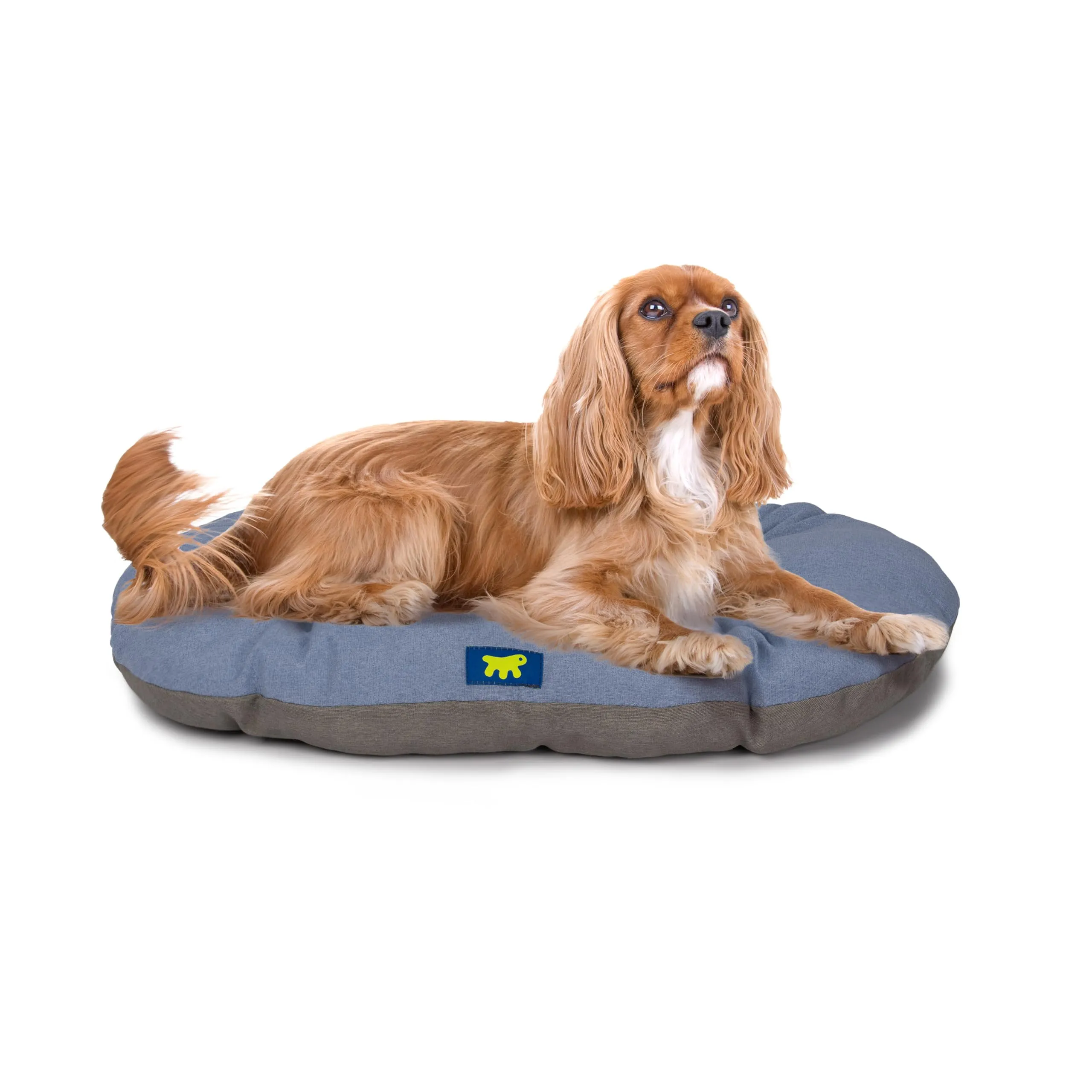 Ferplast Cuccia Cane Relax, Cuscino per cani di medie dimensioni, Cuccia Gatto, Tappetino per cucce e auto -Lavabile - in Cotone con Soffice Imbottitura, 78 x 50 m. Azzurro