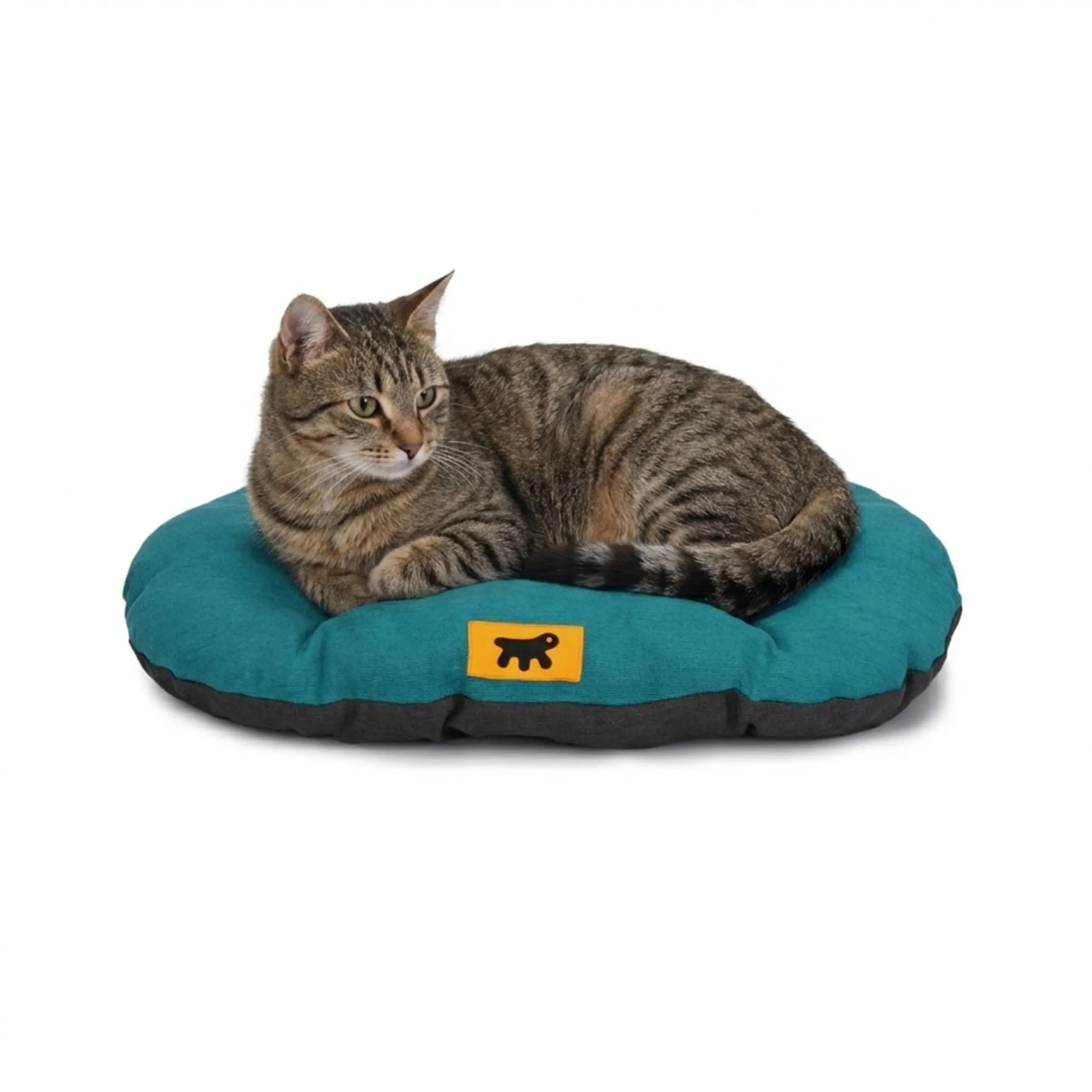 Ferplast Cuccia Cane Relax, Cuscino per cani di taglia piccola, Cuccia Gatto, Tappetino per cucce e auto -Lavabile - in Cotone con Soffice Imbottitura, 55 x 36 cm. Turchese