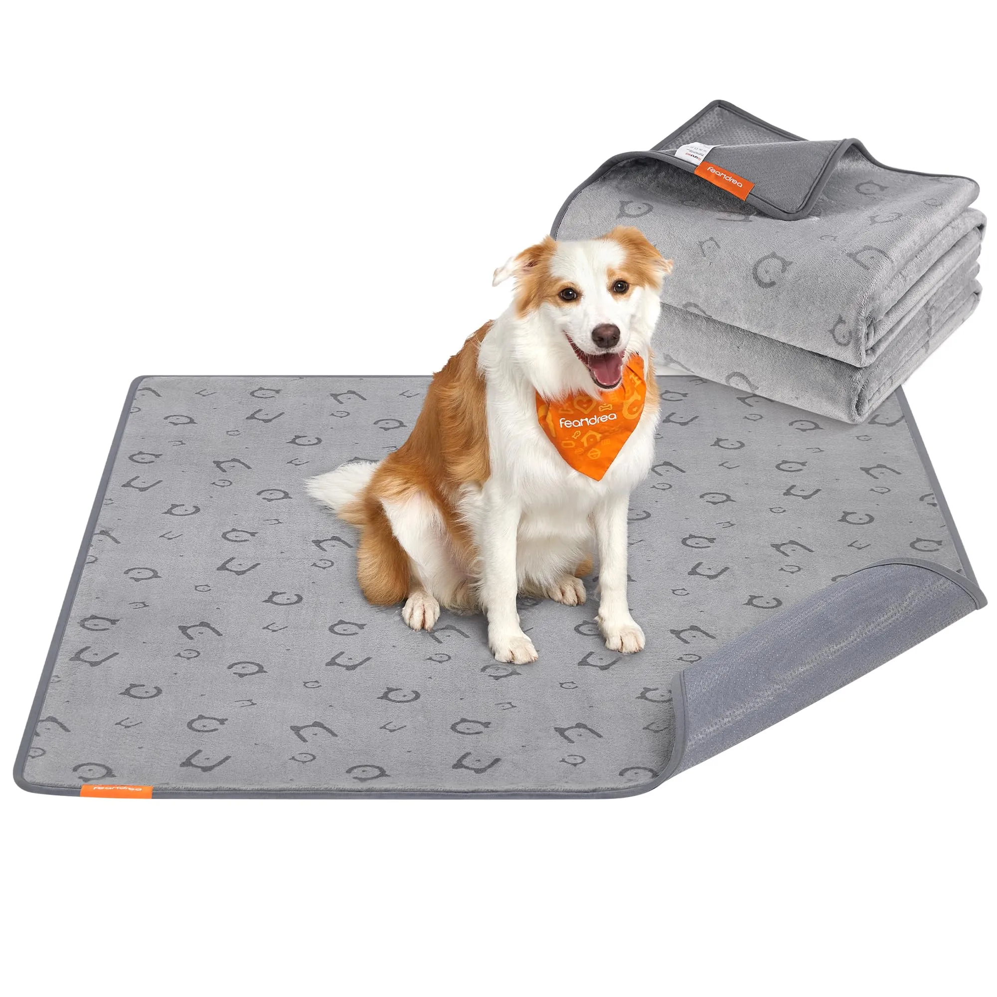 Feandrea Tappeti per Addestramento per Cani, 2 Pezzi, 152 x 122 cm