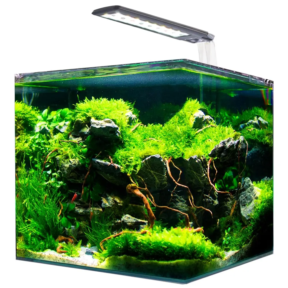 AMTRA NANOTANK SYSTEM 30 / Acquario in vetro completo di luce LED e filtro / cm 30x30x35 / 30 Litri
