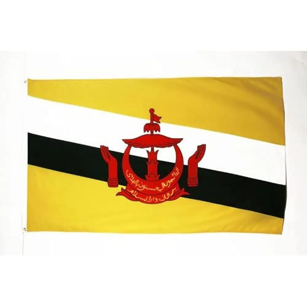AZ FLAG Bandiera Brunei 90x60 cm Bruneiana Poliestere 100D 2 Occhielli