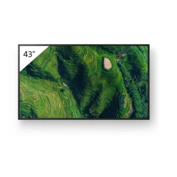 Sony 43 4K 500 24/7 FW43BZ35PB.CEI