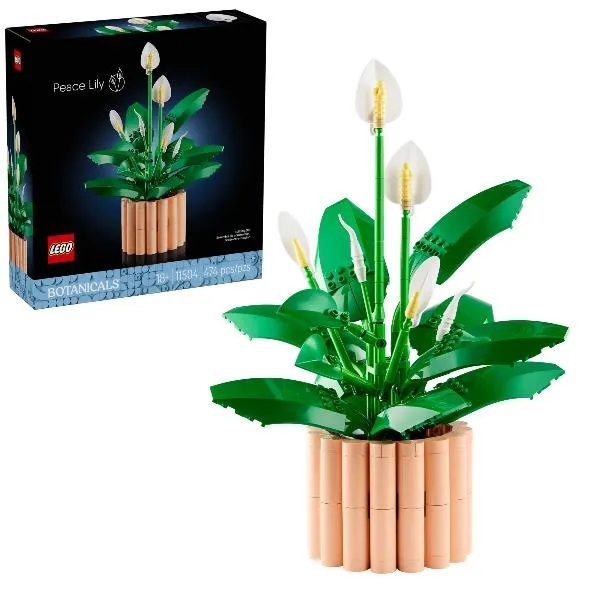 Lego Spatifillo 11504