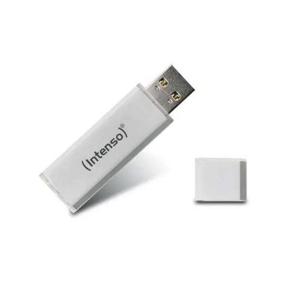 Intenso Chiavetta USB 256 Gb Silver 3531492