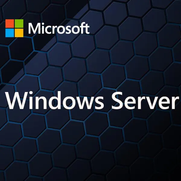 Microsoft Windows Server Cal 2025 Italian 1PK Dsp Oei 5 Clt User EP2-25283