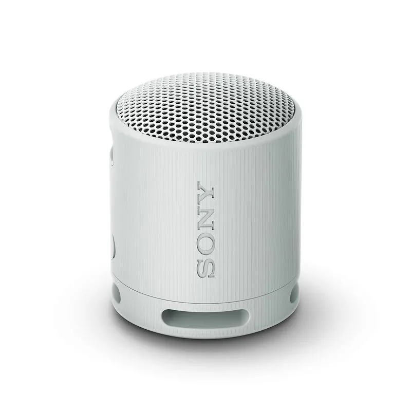 Speaker Wireless Bluetooth Sony SRSXB100H.CE7