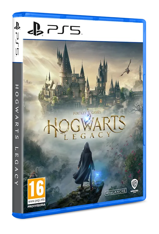 Warner Bros Hogwarts Legacy Standard