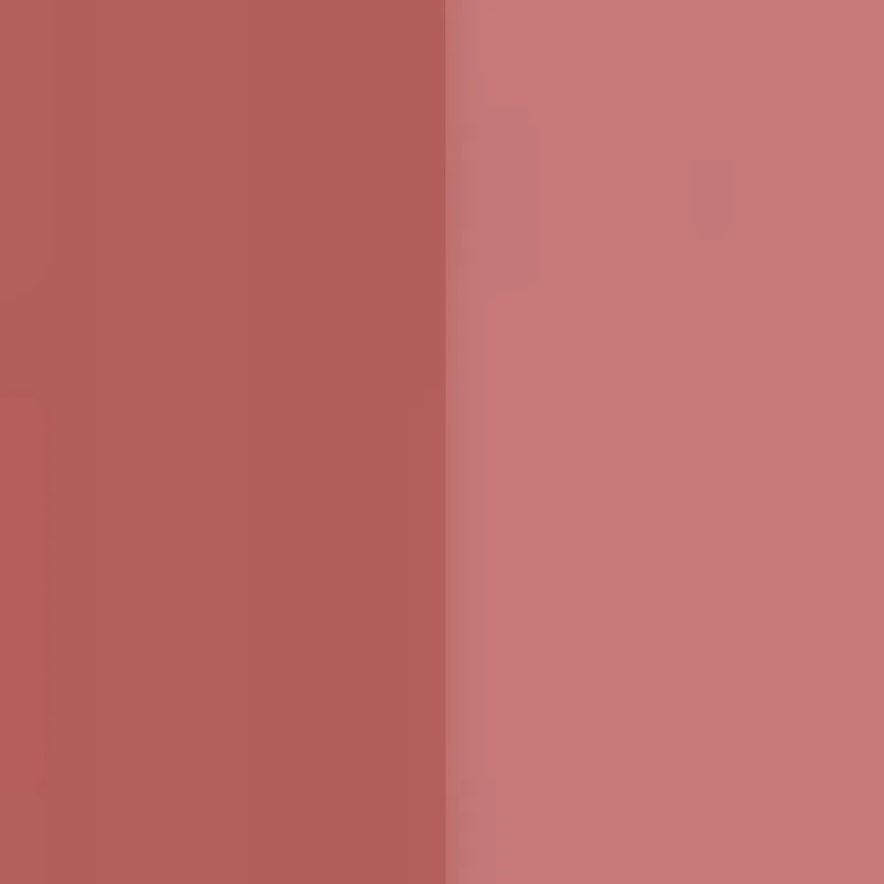 Pupa Vamp! Creamy Duo - N. 017 TIMELESS ROSE