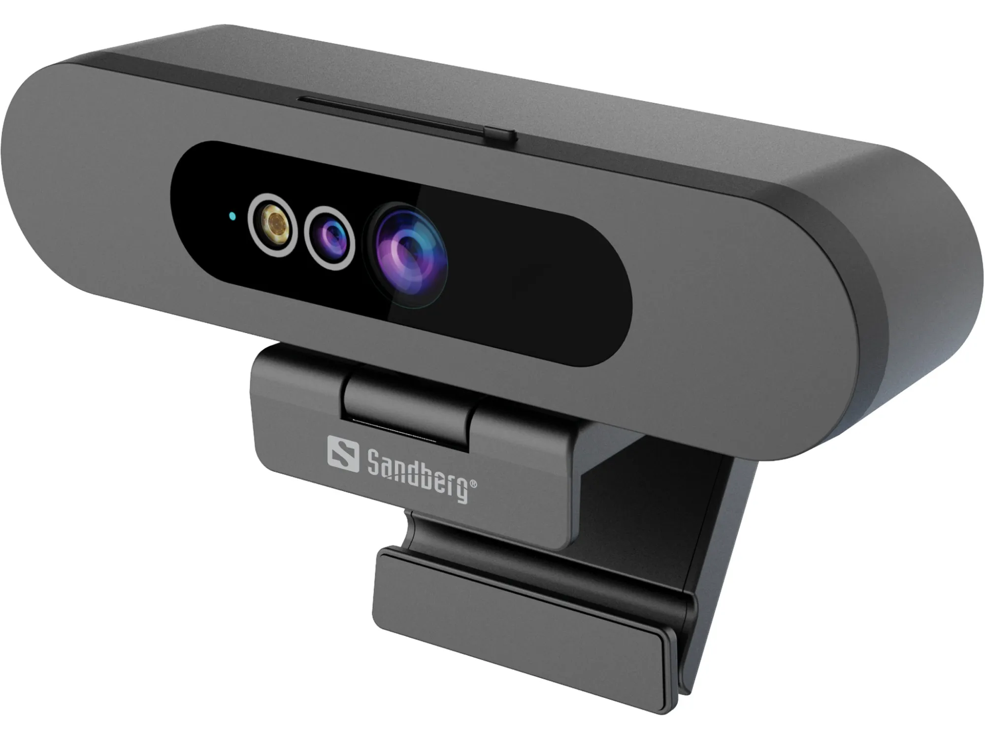 Webcam Sandberg Face Scan