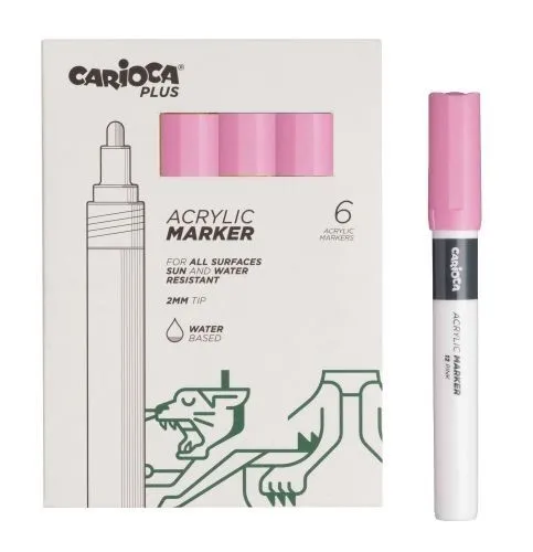 Carioca Plus Confezione da 6 pennarelli acrilici - Punta da 2 mm - Colore rosa