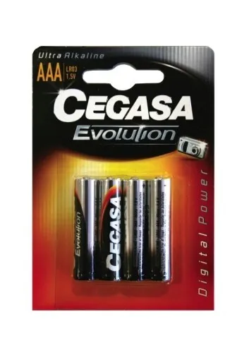 Cegasa Bl.LR03 Batteria monouso Mini Stilo AAA Alcalino