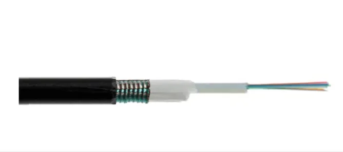 Cavo Fibra Ottica Da Esterno Dielettrico Os2 Antiroditore 12 Fibre