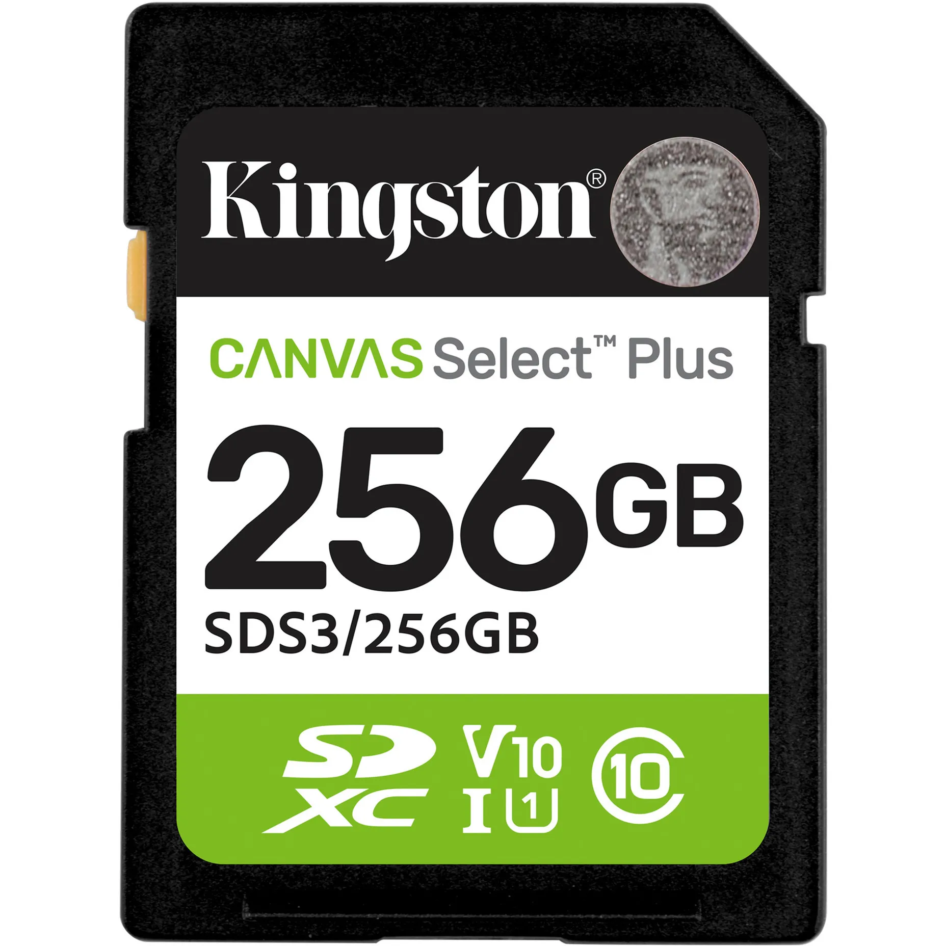 256GB SDXC Canvas Select Plus Gen3 150MB/s C10 UHS-I U1 V10, Scheda di memoria