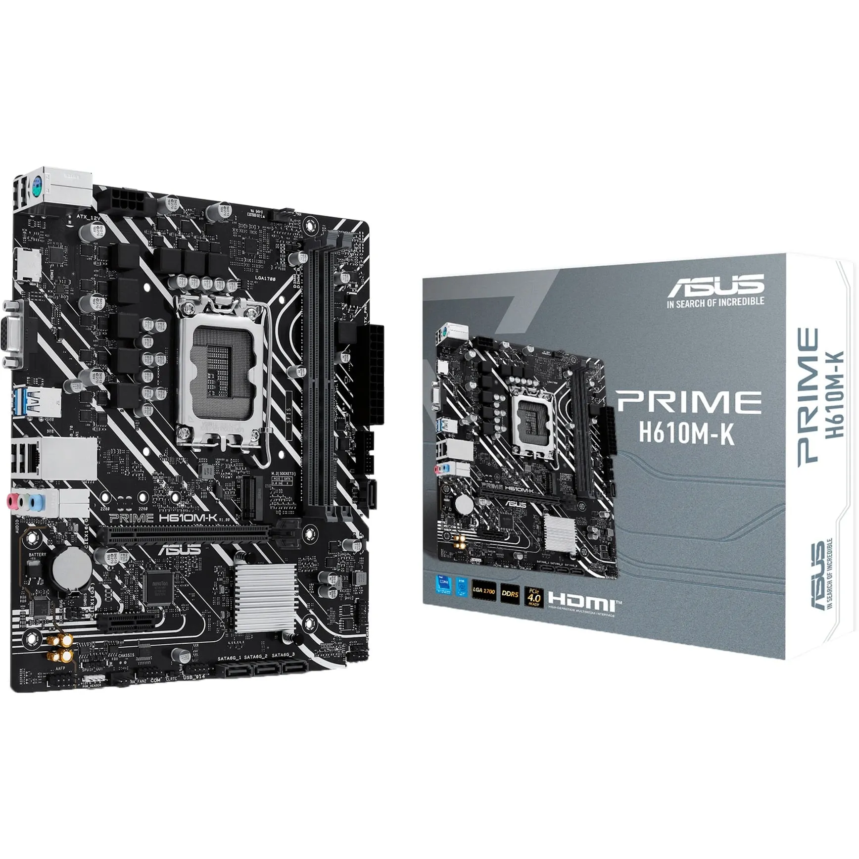 Prime H610M-K Intel H610 LGA 1700 micro ATX, Scheda madre