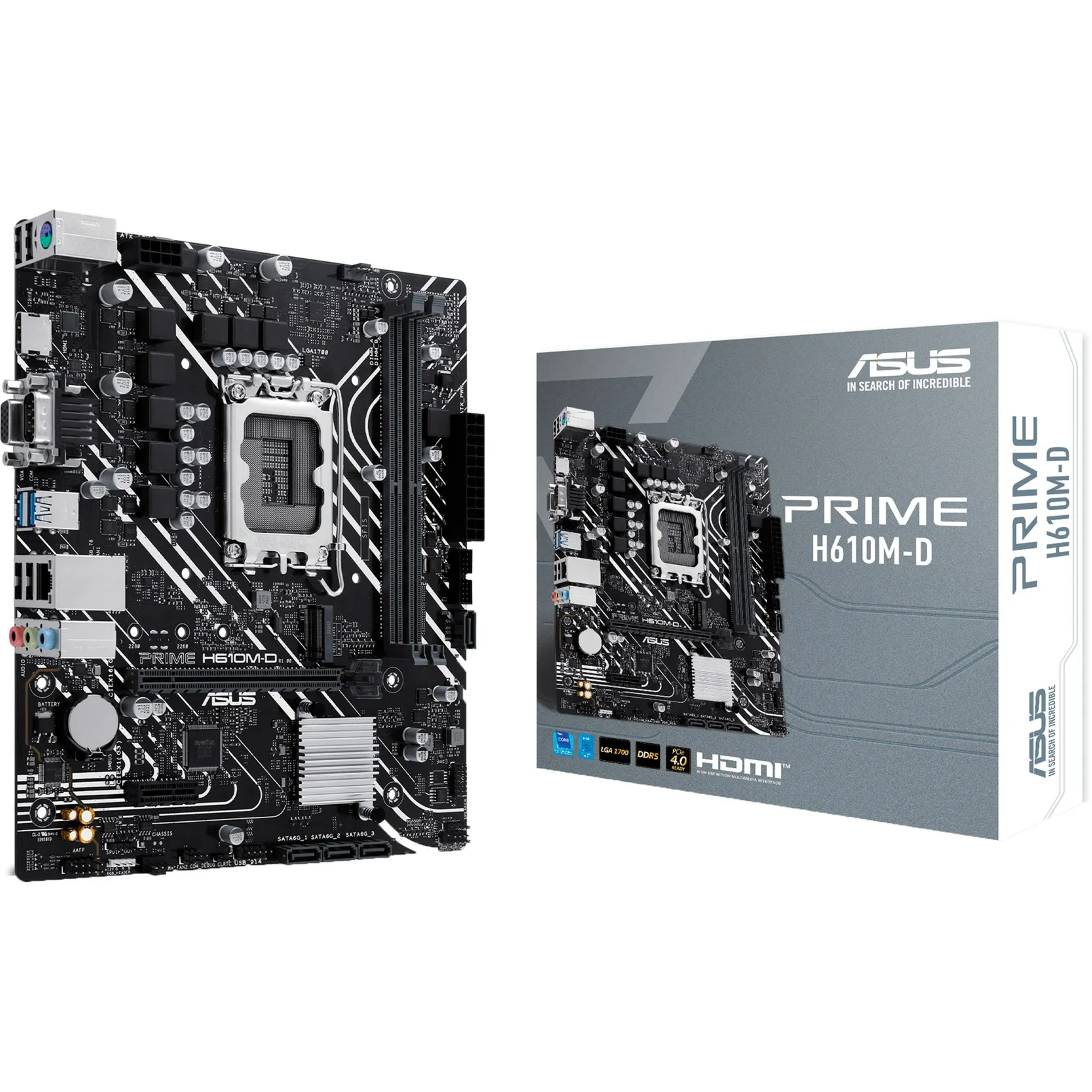 PRIME H610M-D Intel H610 LGA 1700 micro ATX, Scheda madre