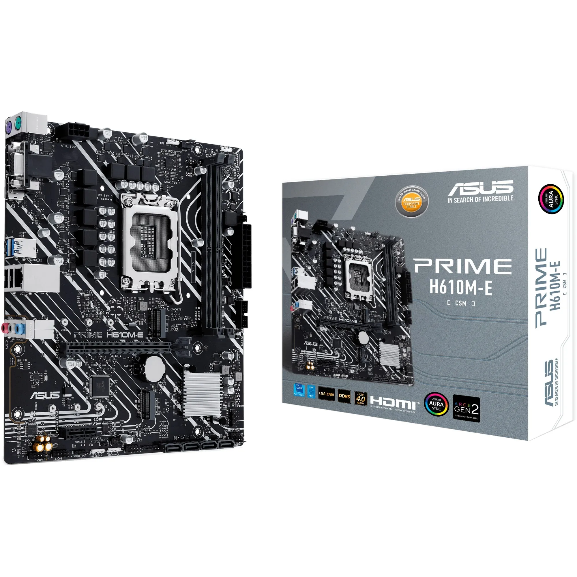 PRIME H610M-E-CSM Intel H610 LGA 1700 micro ATX, Scheda madre