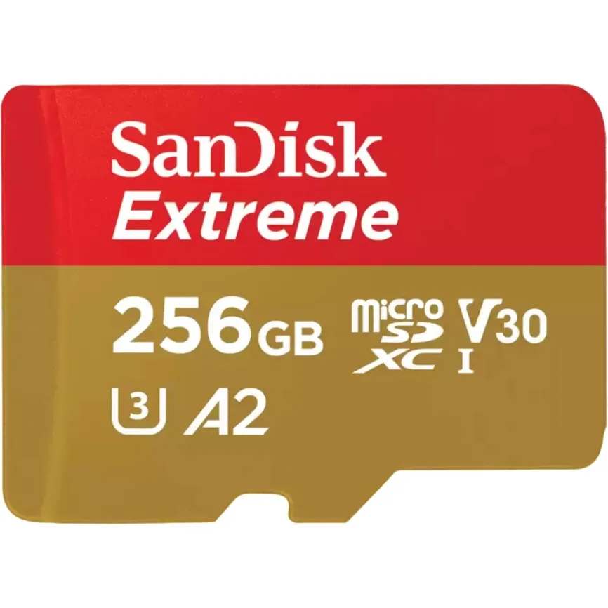 Extreme 256 GB MicroSDXC UHS-I Classe 3, Scheda di memoria