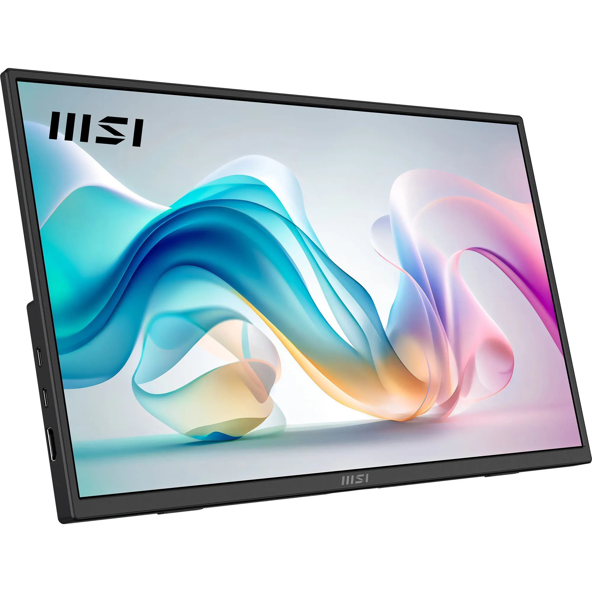 PRO MP165DE E6, Monitor LED