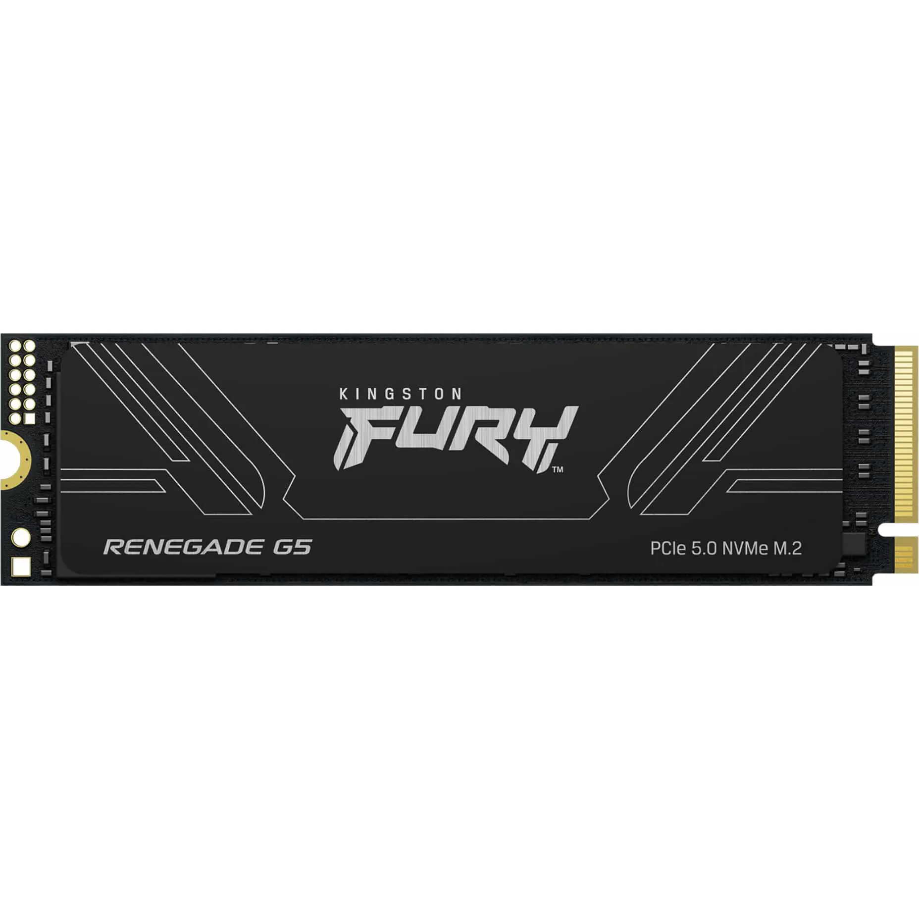 8T FURY RENEGADE G5 M.2 2280 NVMe SSD, Disco a stato solido