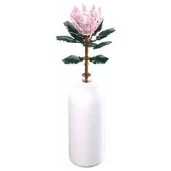 Protea Cynaroides con vaso ( 211 pz ) PLEYERID 10a+ ‎M38 B1101 03