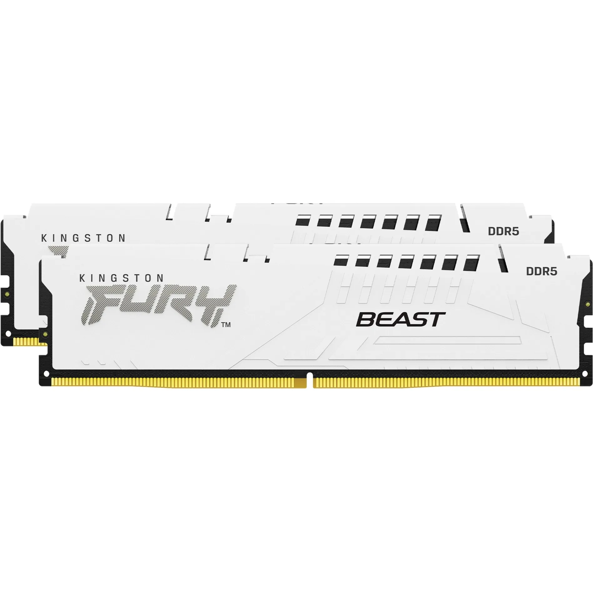 FURY Beast 64GB 6000MT/s DDR5 CL30 DIMM (Kit of 2) White EXPO, Memoria