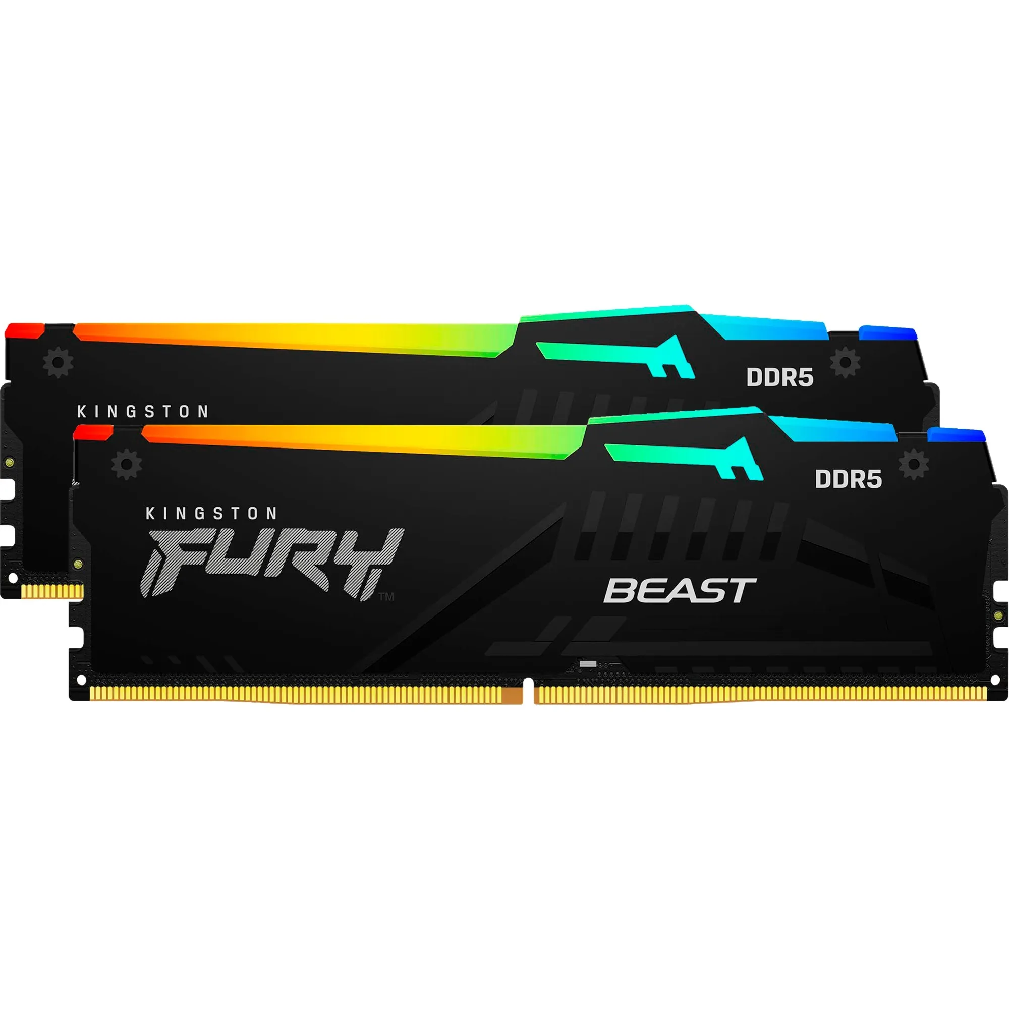 FURY Beast 64GB 6000MT/s DDR5 CL30 DIMM (Kit da 2 moduli) RGB EXPO, Memoria