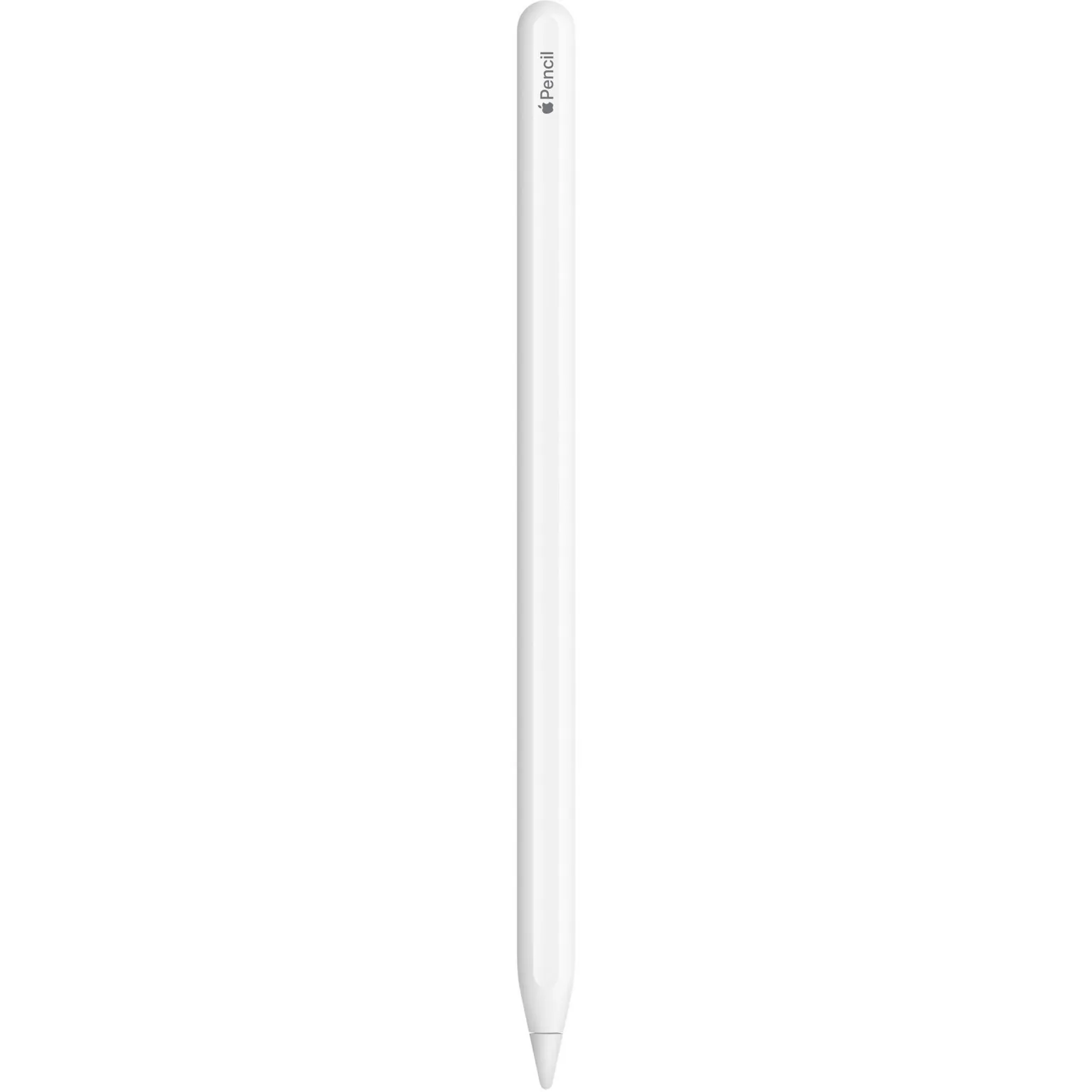 Pencil (2. Generation), Penna stilo