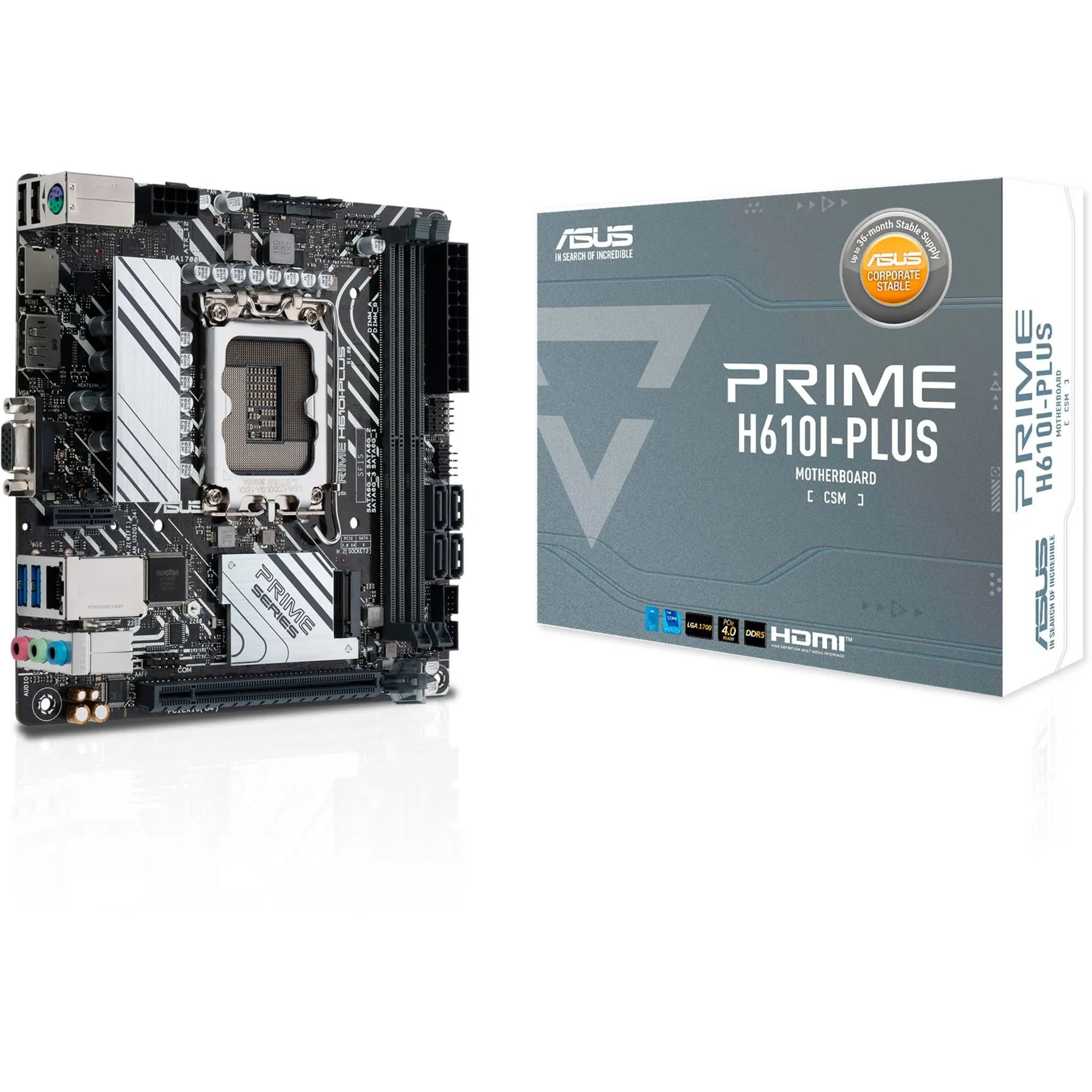 PRIME H610I-PLUS-CSM Intel H610 LGA 1700 mini ITX, Scheda madre