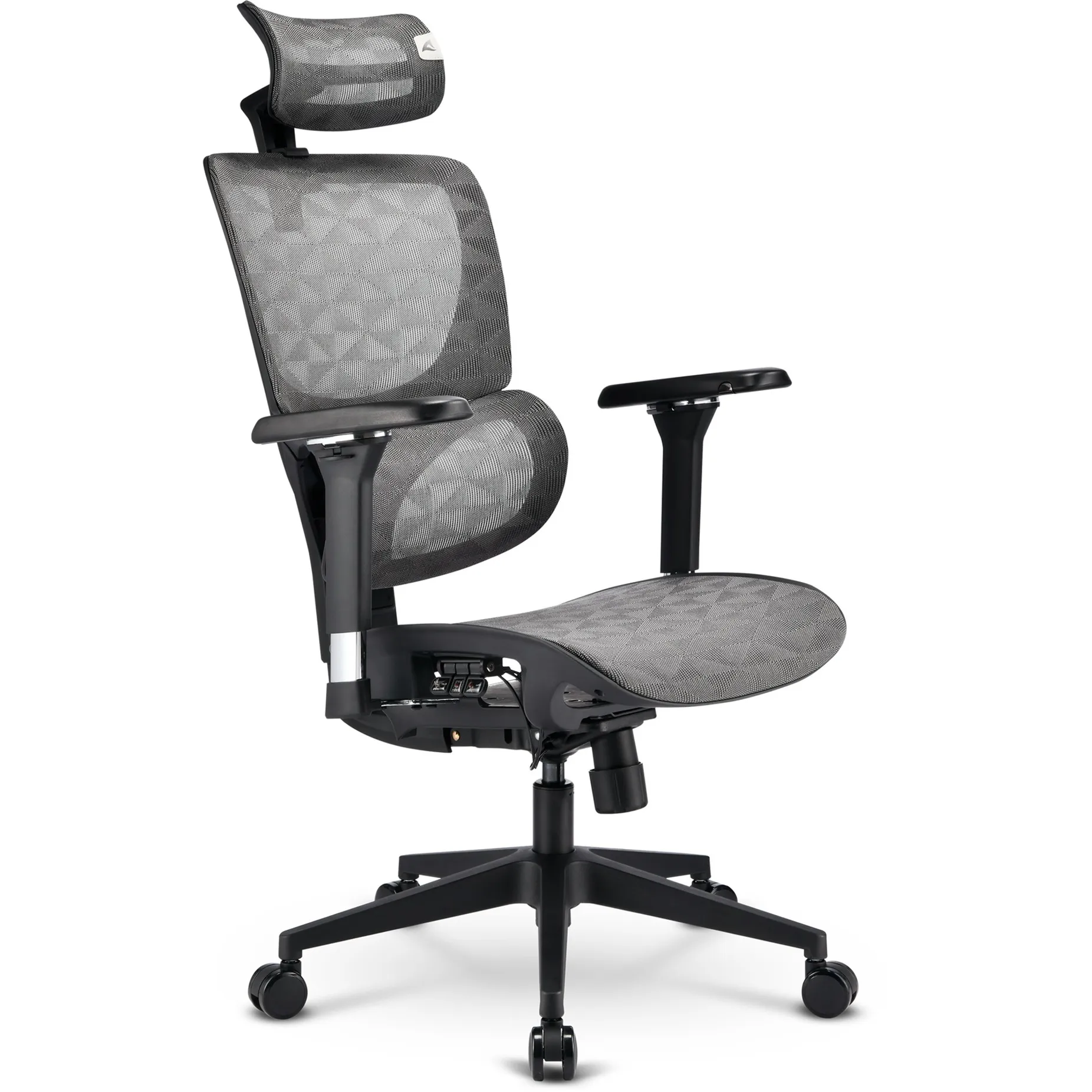 Sedia da ufficio OfficePal C40M