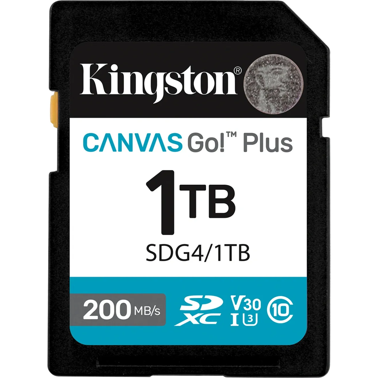Canvas Go! Plus 1TB SDXC Canvas Go Plus Gen4 200MB/s C10 UHS-I U3 V30, Scheda di memoria