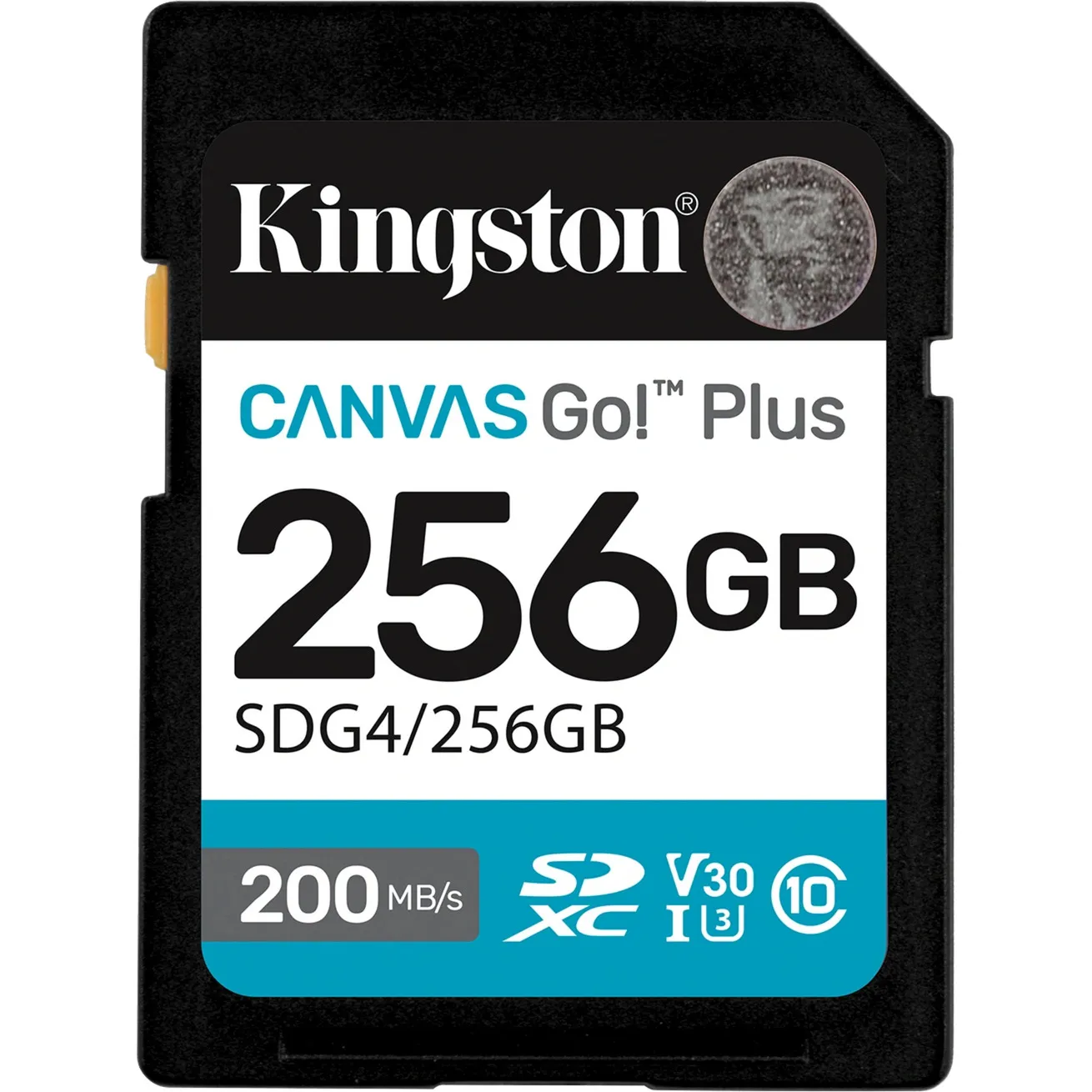 Canvas Go! Plus 256GB SDXC Canvas Go Plus Gen4 200MB/s C10 UHS-I U3 V30, Scheda di memoria
