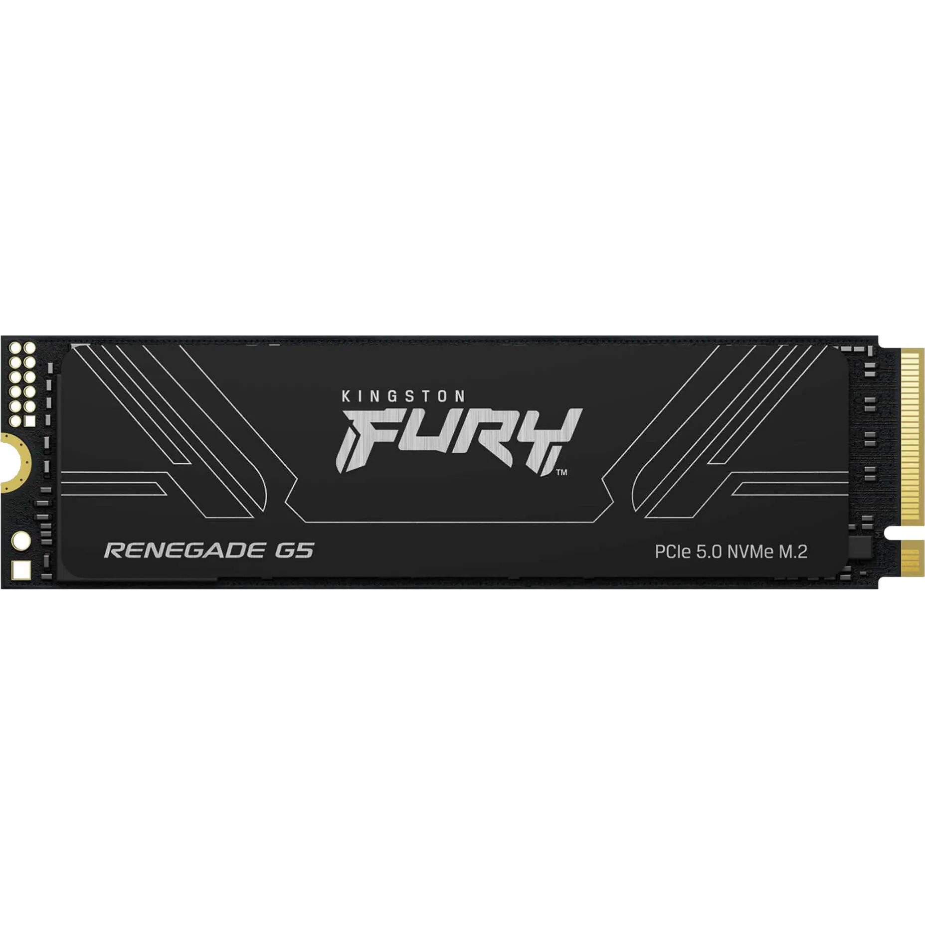 4T FURY RENEGADE G5 M.2 2280 NVMe SSD, Disco a stato solido