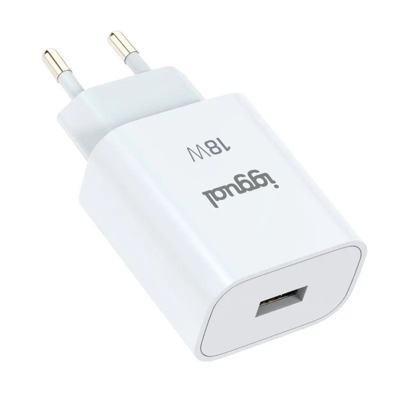 Stesso caricabatterie 1xUSB QuickCharge 3.0 da 18 W