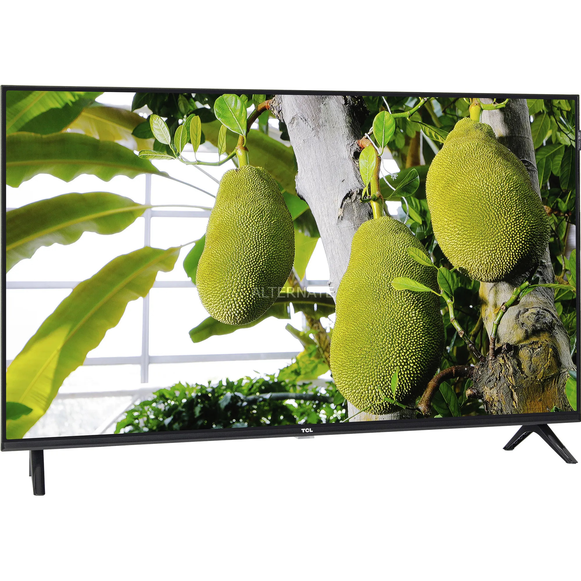 43V5C, QLED TV