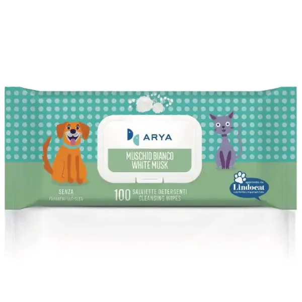 Arya salviette igieniche umidificate detergenti Multiuso 100 salviette Muschio bianco - confezione da 6 pezzi