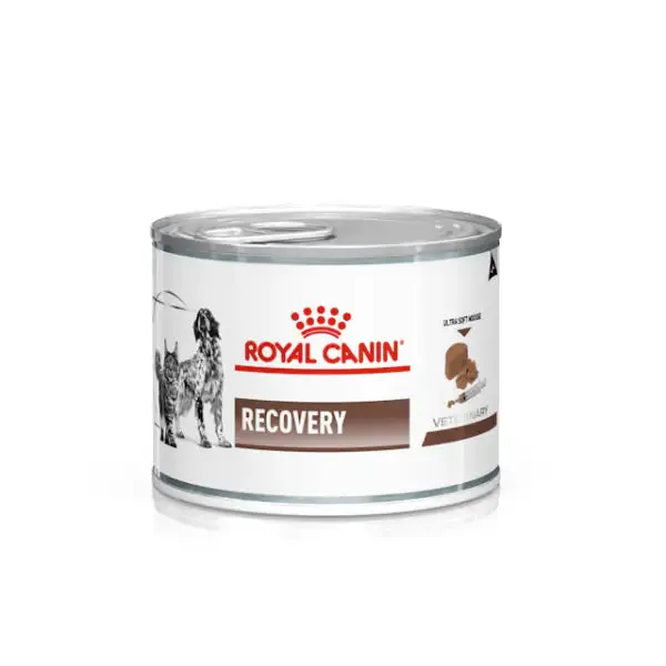 Royal Canin Veterinary Diet Recovery Cats/Dogs 195 gr 195 gr - Dieta veterinaria per gatti
