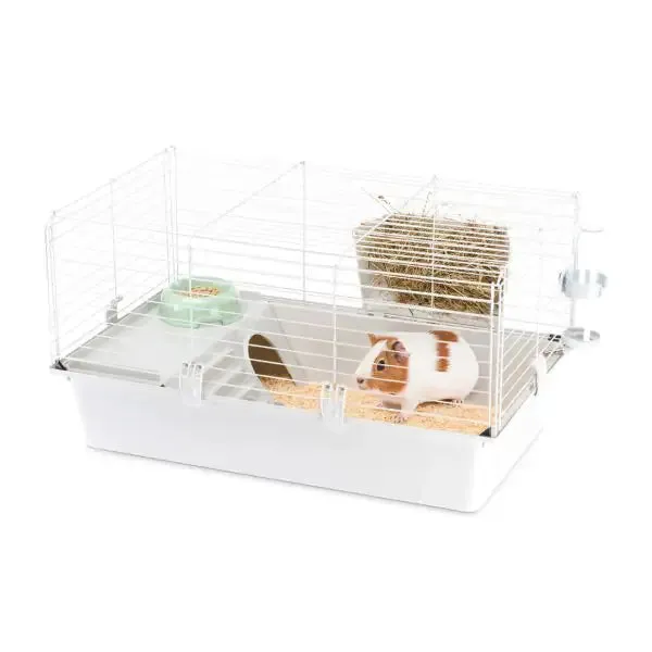 Gabbia di piccole dimensioni per piccoli mammiferi Guinea Ferplast Modello 80: misura 77x48x42 cm